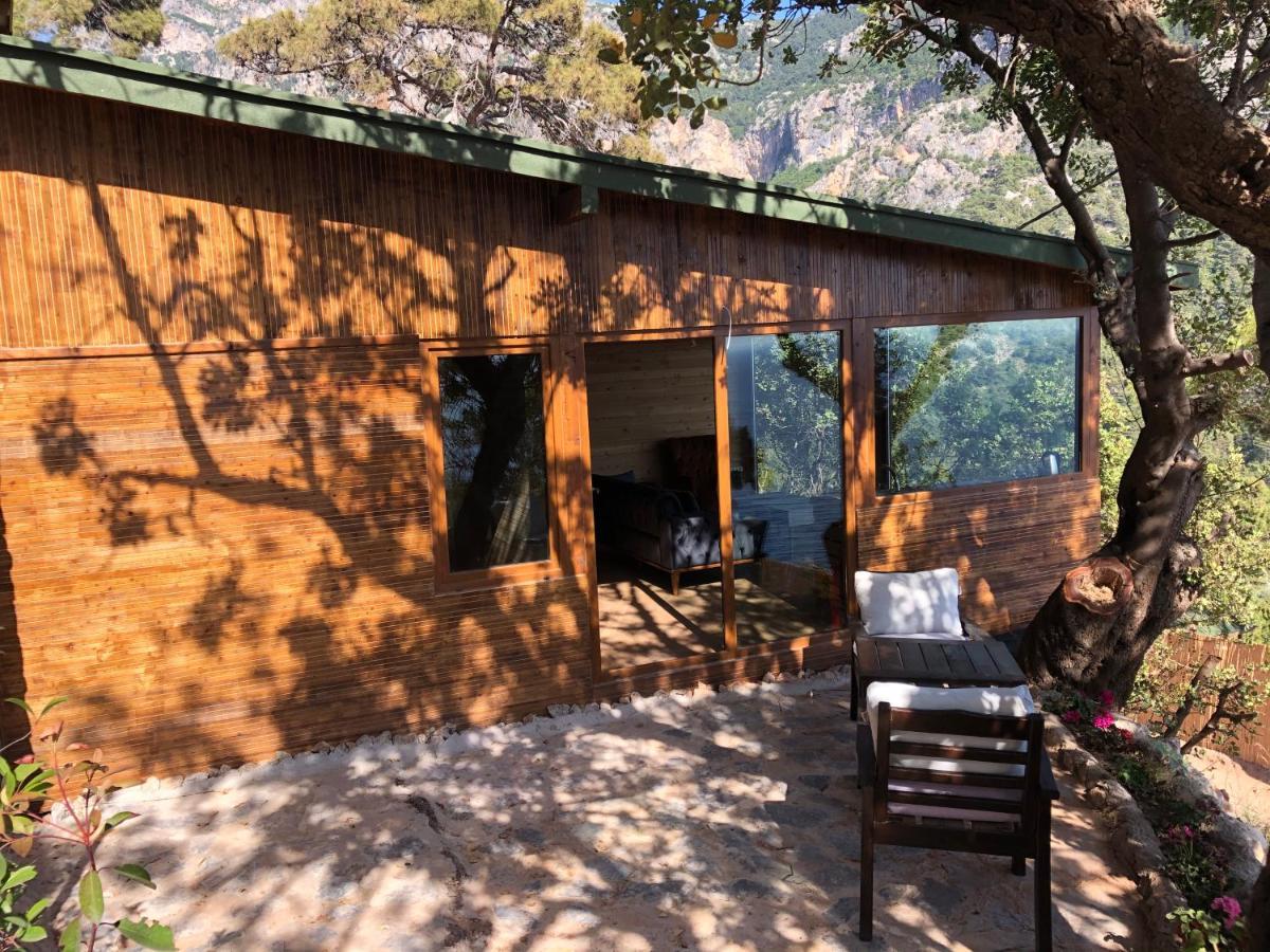 Kabak Uetopya Kamp ฟารัลยา ภายนอก รูปภาพ