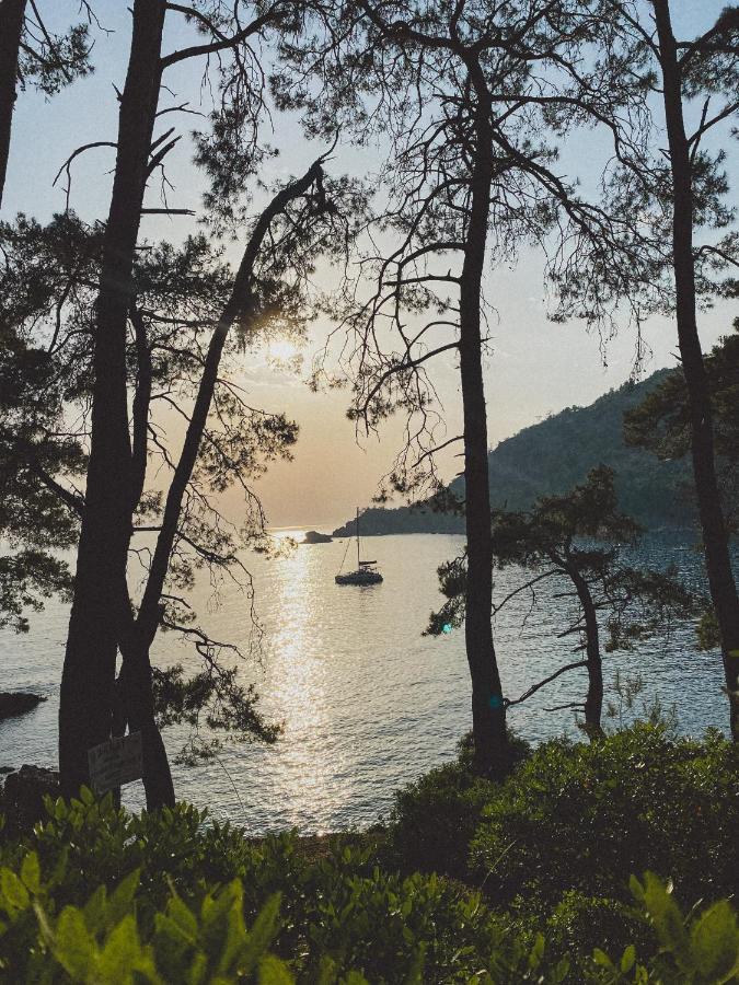 Kabak Uetopya Kamp ฟารัลยา ภายนอก รูปภาพ